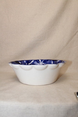 Pozolero Cobalto Extra