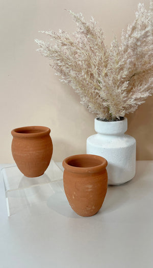 Cantarito Natural Shot Glass