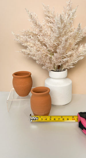 Cantarito Natural Shot Glass