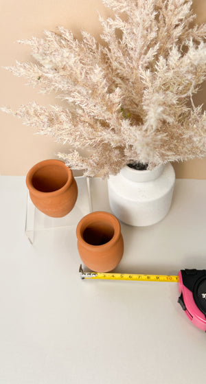 Cantarito Natural Shot Glass